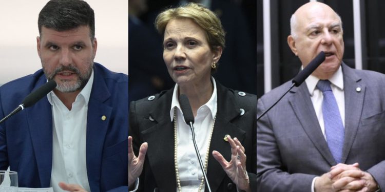 Rascunho automático