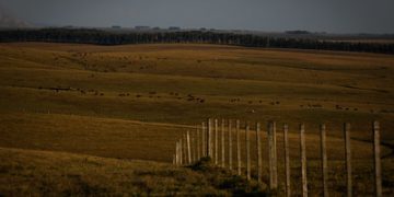 Fazenda